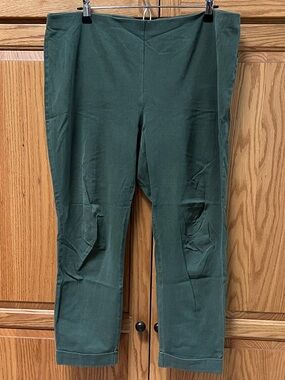 J Jill Green Pants, GUC, Size 16